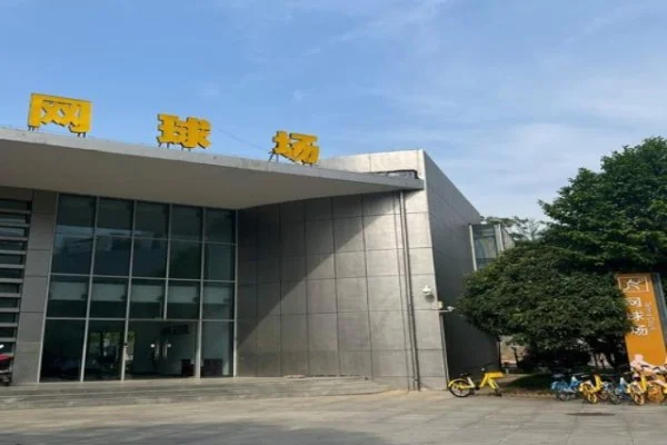 世界皮划艇静水锦标赛中国女划冲金前景与核心项目深度分析观察